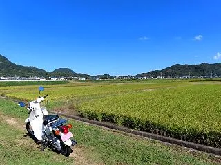 キラキラでピカピカ♪