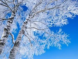 タイヤ交換は必要ないのでいつ雪が降っても…