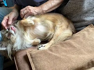 クールビズも終わって〜