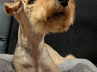 プチストレス