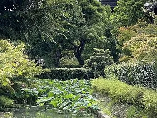 一流