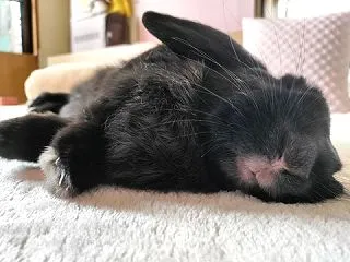 100点満点。