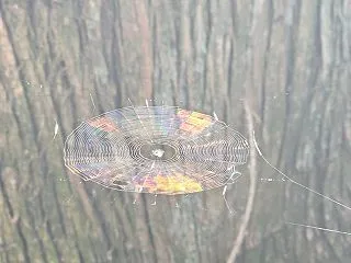 早朝からの