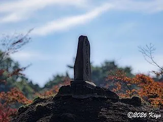 2025年11月24日、α7C IIとO…