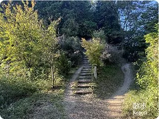 秋の裏山散歩5