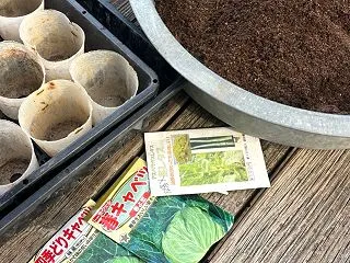 10月の種まき、春採りのキャベツとブロッ…