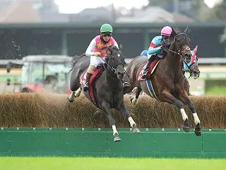 【出馬表】 第28回 東京ハイジャンプ …