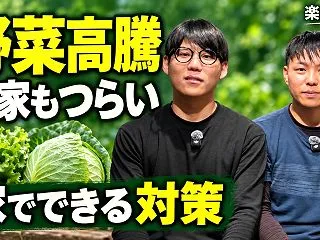 野菜高騰で白菜・レタスはどうなる？大雨の…