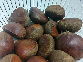 秋です