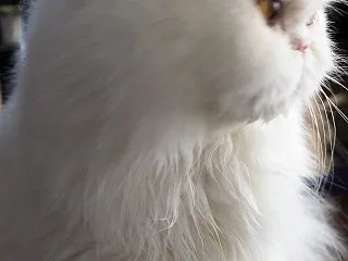 久々の週末。