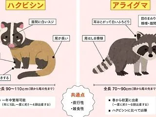 対決 李平蔵vsめいろまさん