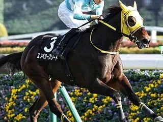 富士ステークスは穴馬から勝負します！ 9…
