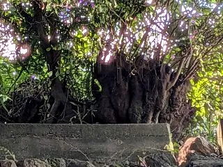「稲荷社跡」（愛川町半原）