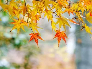 後編親塾で爆伸びする子の特徴！【素直さ】…