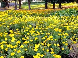 治療スタート