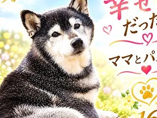 あかりちゃん、安らかに