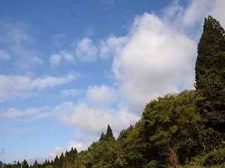 暮らし方の改善にも慣れてきて