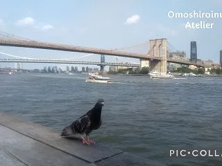 民度の低いC国人が増えると衰退するという…