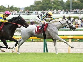 【予想】 第29回 富士ステークス G2