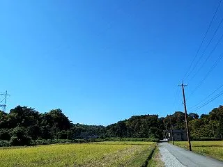 秋の景色