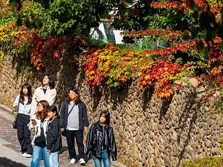 だんだん寒くなってきました