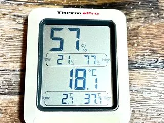 おはようございます10/17晴