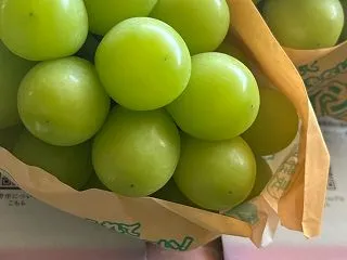 お米とシャインマスカットが届きました♡