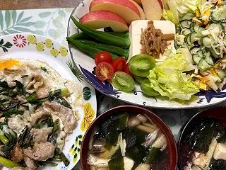 ネギと豚バラ肉の卵とじの夕ご飯