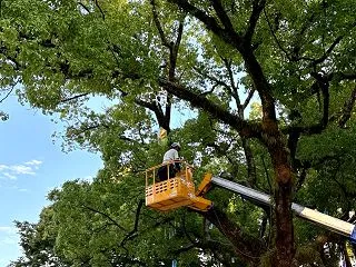 10月も半ばを過ぎた昨日