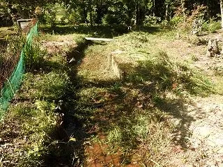 小川草刈・掃除2