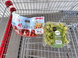 １０/１６（金）コストコ購入品・新商品・…