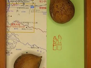 ソテツの実（生け文具４５７９）