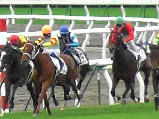 【POG】オープンで2勝目を！
