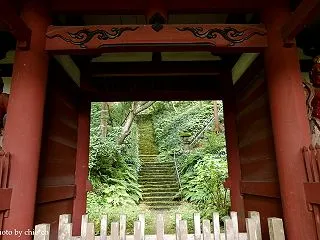 ＊苔寺の緑のなかで。。鎌倉 妙法寺。。♪