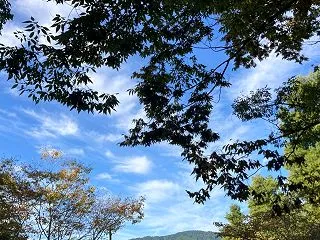 気温下がって血圧上がる