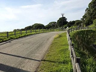 神奈川県秦野市の弘法山にクマあらわる(朝…