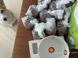ソワソワするボク
