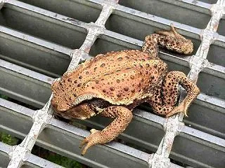 私が考える「不易流行」の本当の意味