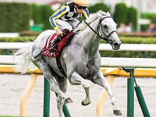 土曜日のWIN5対象レース予想
