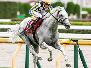 土曜日のWIN5対象レース予想