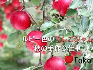 立科町・柳沢さんの完熟紅玉の力を感じた、…