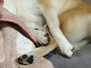 １日快晴