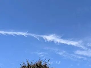 今日は甲子。ご祈祷してもらいます！