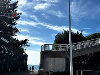 秋空veggy