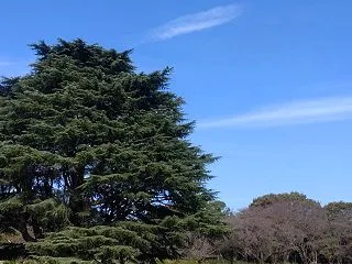 【仕事話】今日はこんなところでロケ