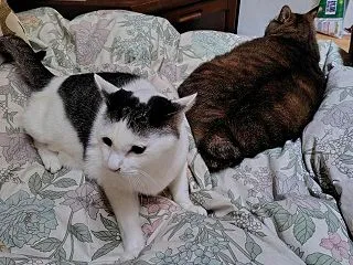 びっくりしたぁ～っ(◎_◎;)