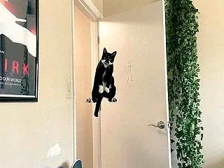 パパ～おかえり！