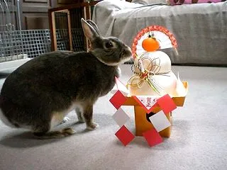 あごスリ、鼻スリ