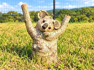 【長崎】母の通院サポート・実家の庭の花た…