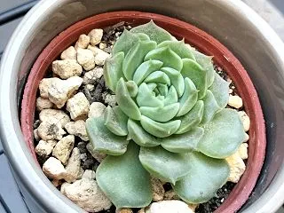 疲れた⋯